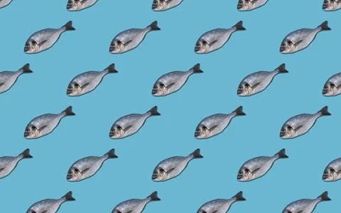 Creative seamless pattern with dorado fish on a blue background Stock Photos