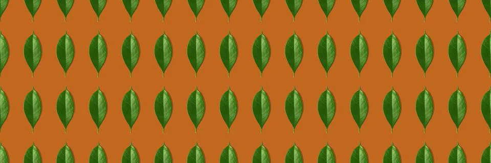 Creative seamless pattern of green leaves on orange background. Stock Illustration