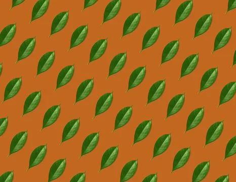 Creative seamless pattern of green leaves on orange background. Stock Illustration