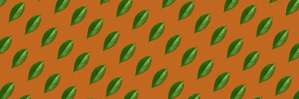 Creative seamless pattern of green leaves on orange background. Stock Photos