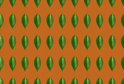 Creative seamless pattern of green leaves on orange background. Stock Photos