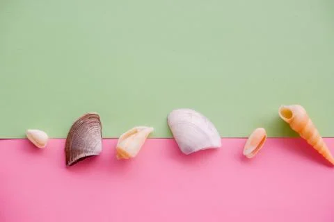 Creative seashell pattern on gradient pastel pink and green background. Summer Stock Photos