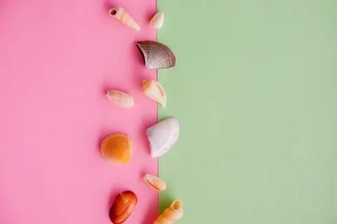 Creative seashell pattern on gradient pastel pink and green background. Summer Stock Photos