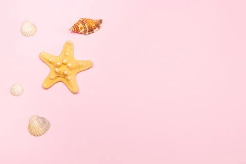 Creative seashell pattern pastel pink background. Summer flat lay. Top viev sea Stock Photos