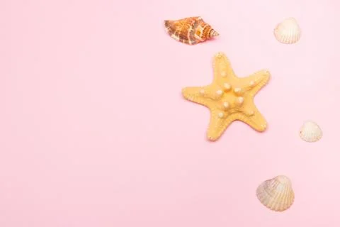 Creative seashell pattern pastel pink background. Summer flat lay. Top viev sea Stock Photos