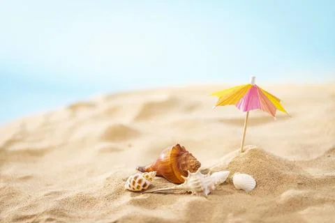 Creative Seashell Sunshade Design Summer Beach Poster Image 写真素材