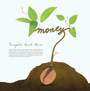 Creative seed idea abstract info graphic Stock Illustration