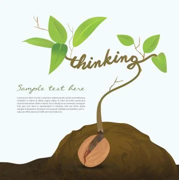 Creative seed idea abstract info graphic Stock Illustration