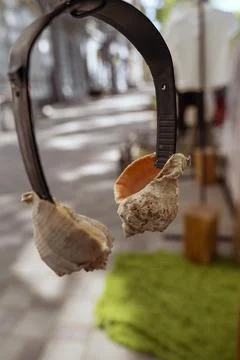 Creative shell accessory placed on a textured sidewalk. Symbol of summer holiday Stock Photos