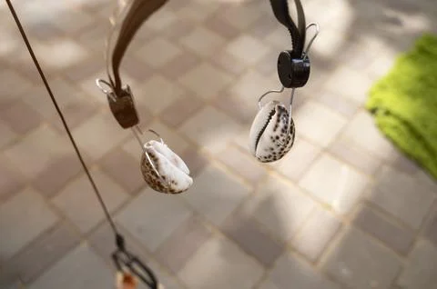 Creative shell accessory placed on a textured sidewalk. Symbol of summer holiday Stock Photos