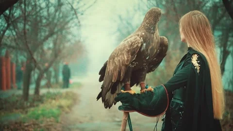 Creative shooting process with animals, fashion mdel posing with bird. woman Stock Footage 313053798