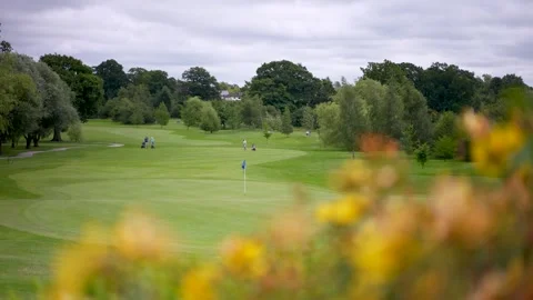 Creative shot of a golf course with an out of focus tree in the foreground Stock Footage 288708520
