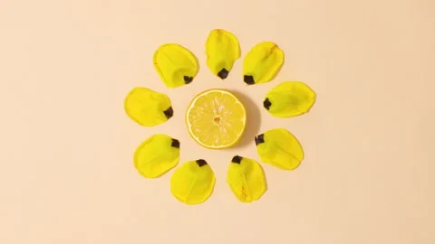 Creative sliced lemon and yellow flower petals move. Stop motion flat lay Stock Footage 152536721
