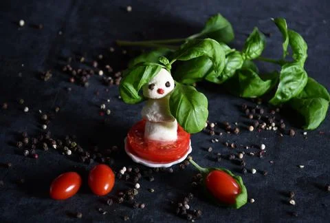 Creative snowman canapes of mozzarella, tomatoes on a background of poinsettia Stock Photos