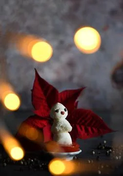 Creative snowman canapes of mozzarella, tomatoes on a background of poinsettia Stock Photos