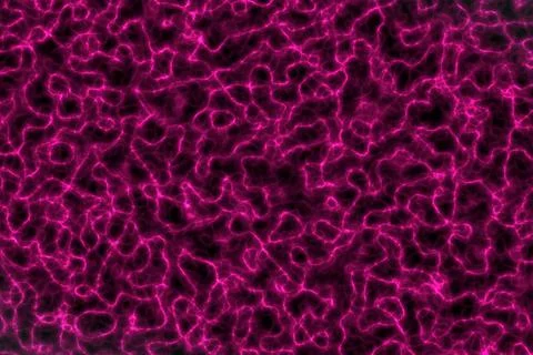 Creative soft neon magical flames computer graphic background texture Illustrazione stock