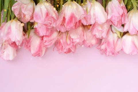 Creative spring background composition colorful flowers on pink background Stock Photos
