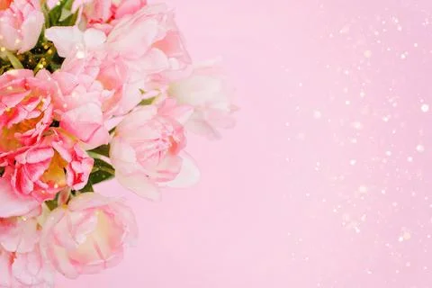 Creative spring background composition colorful flowers on pink background. Stock Photos
