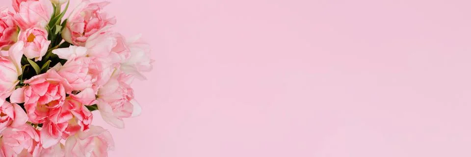 Creative spring background composition colorful flowers on pink background. Stock Photos
