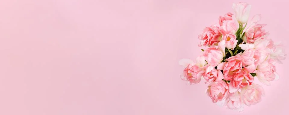 Creative spring background composition colorful flowers on pink background. Stock Photos