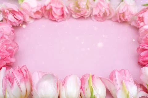 Creative spring background composition colorful flowers on pink background Stock Photos