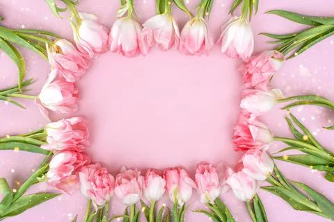 Creative spring background composition colorful flowers on pink background. Stock Photos