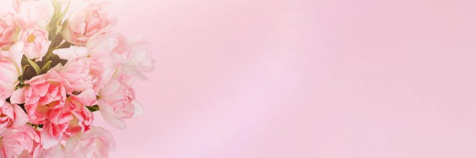 Creative spring background composition colorful flowers on pink background. Stock Photos