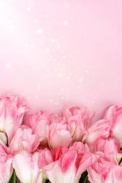Creative spring background composition colorful flowers on pink background. 스톡 사진