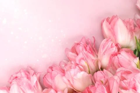 Creative spring background composition colorful flowers on pink background. Stock Photos