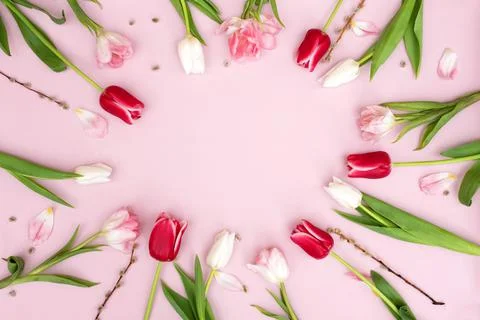 Creative spring background composition colorful flowers on pink background. Stock Photos