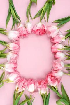 Creative spring background composition colorful flowers on pink background. Stock Photos