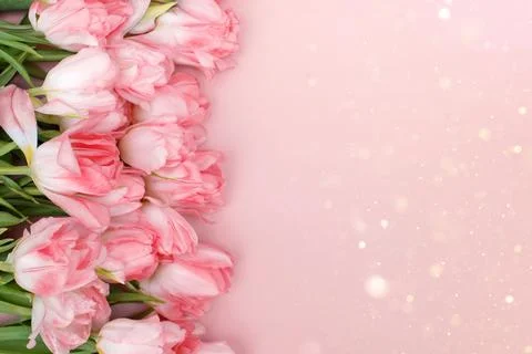 Creative spring background composition colorful flowers on pink background. 스톡 사진