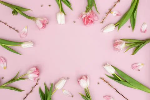 Creative spring background composition colorful flowers on pink background. 스톡 사진