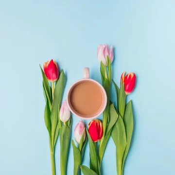 Creative spring flat lay made of pink and red tulips and a cup of coffee. Min Foto stock