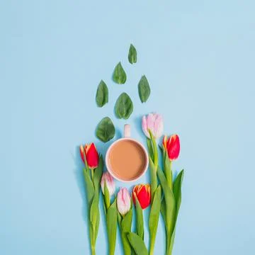 Creative spring flat lay made of pink and red tulips, green leaves and a cup  Foto stock