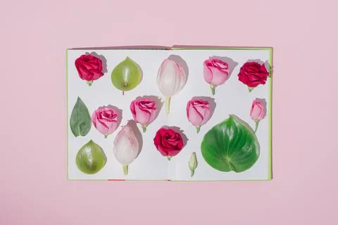 Creative spring flat lay with pink roses and green leaves placed on book page Foto stock