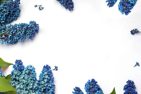 Creative spring frame with fresh lilac flowers Stock Photos