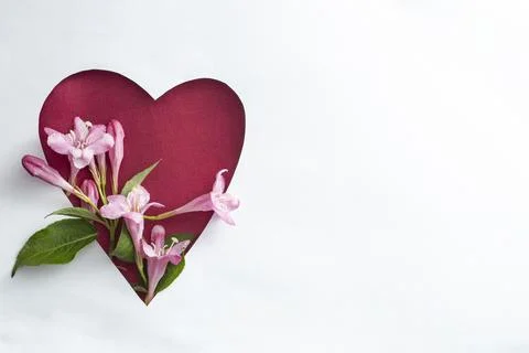 Creative spring layout with flowers and leaves on white paper background. Foto stock