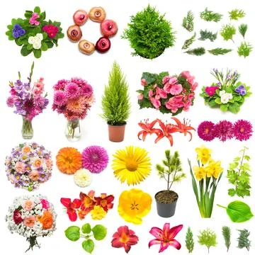 Creative spring nature concept from plants. Collection of flowers, leaves, .. Stock Photos