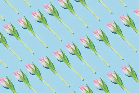 Creative spring pattern made with pink tulips. Cute and romantic style concep Foto stock