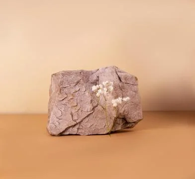 Creative stone podium for cosmetics or products on brown beige background. Stock Photos