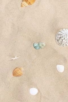 Creative Summer Beach Composition with Seashells on Sandy Shore for Design Stock Photos
