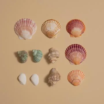 Creative summer composition on a beige background made of colorful sea shells Foto stock