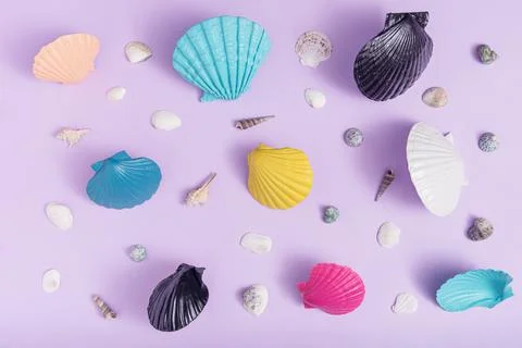 Creative summer pattern with colorful sea shells on a purple background Stock Photos