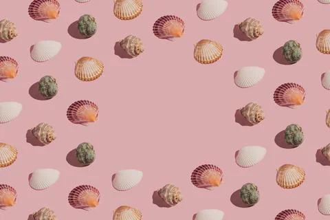 Creative summer pattern made of colorful sea shells on pastel pink background Stock Photos
