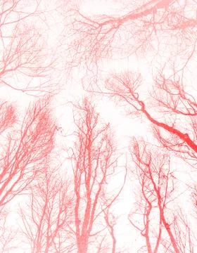 Creative sunset orange shade unusual abstract pattern Stock Illustration