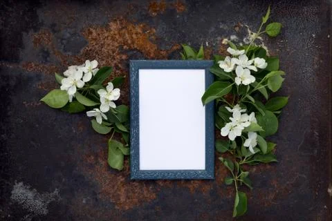 Creative top view apple tree blooming flowers brunch frame on on rustic woode Stock Photos