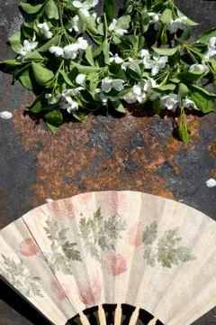 Creative top view apple tree blooming flowers brunch frame, paper fan on  rus Stock Photos