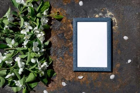 Creative top view apple tree blooming flowers brunch frame on on rustic woode Stock Photos