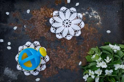 Creative top view apple tree blooming flowers brunch frame,  toy watering can Stock Photos